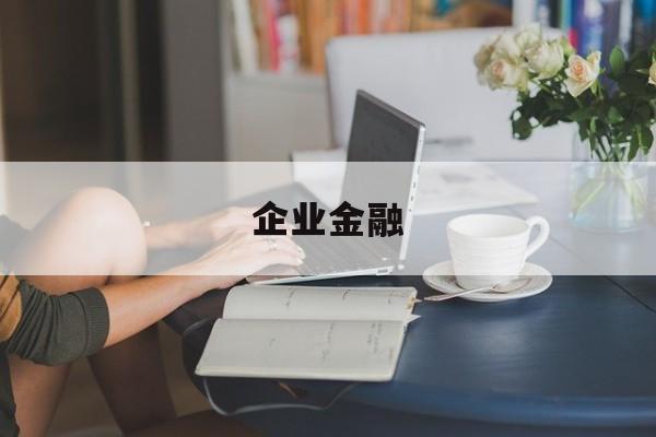 企业金融(企业金融综合服务平台)