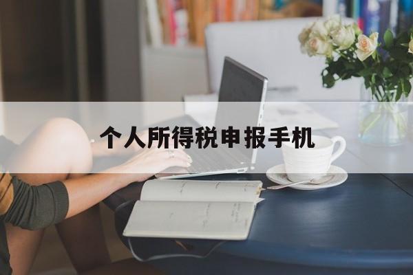 个人所得税申报手机(个人所得税申报手机号不是自己的可以吗)